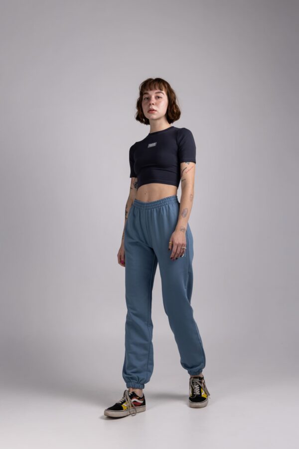 Джоггеры STONE BLUE — Стандарт 165+